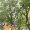 SANTINO 7M Telescopic High Pruning Branch Shears Saw Cutter Kelapa Fruit Picker Viral