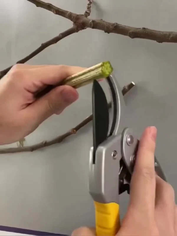 my-11110105-7r98q-lzhe248apep7a7.webp Garden Pruning Shears Gardening Professional Grafting Scissors Twig Vine Fruit Tree Gardening Kit Spring Handles