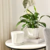 Simplified Style Ceramic Flower Pot Indoor Creative Round Small Ceramic Vase Plant Pasu Bunga Seramik YTX