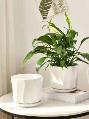 Simplified Style Ceramic Flower Pot Indoor Creative Round Small Ceramic Vase Plant Pasu Bunga Seramik YTX