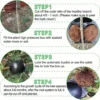 Plant Rooting Equipment High Pressure Propagation Ball Garden Graft Box
