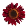 Matahari Sunflower Seeds Flower Plant Seed 20 seeds