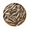Matahari Sunflower Seeds Flower Plant Seed 20 seeds