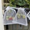 1pcs Fruit Protection Bags