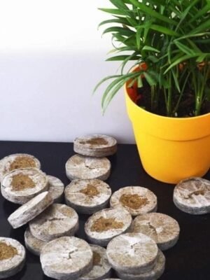 1pcs Seed Peat Pallet