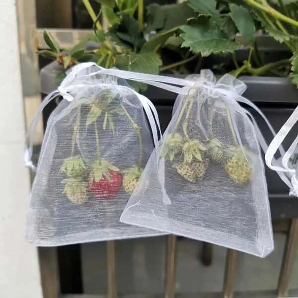 1pcs Fruit Protection Bags